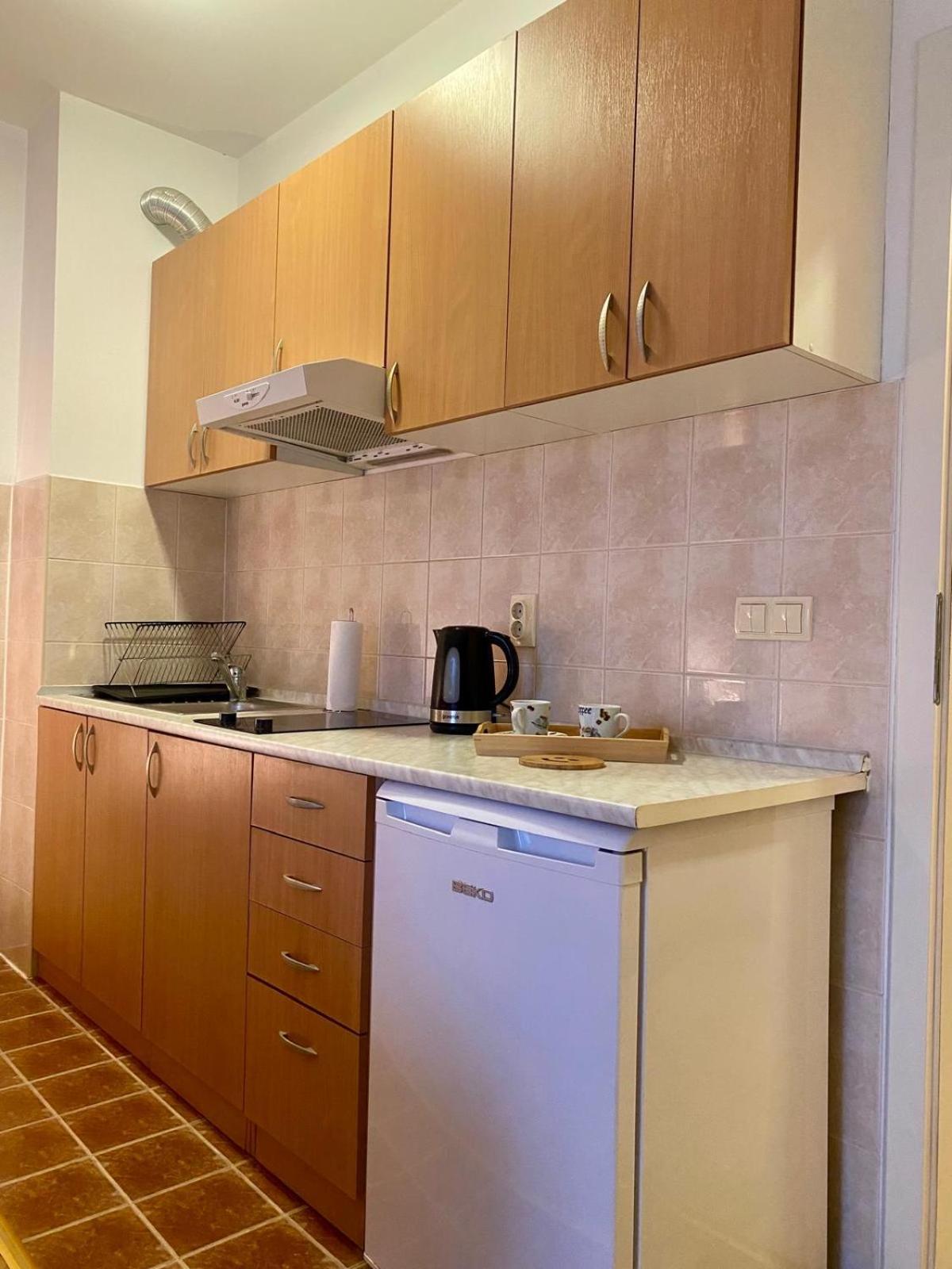Apartment Victor Banja Koviljača Esterno foto